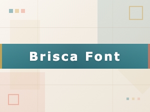 Creative Branding and Design Ideas with Brisca Font